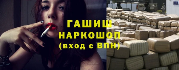 хмурый Аркадак