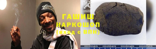 хмурый Аркадак