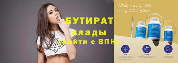 хмурый Аркадак