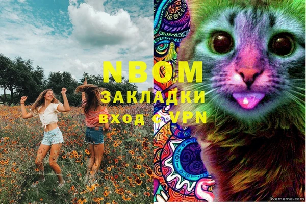 крисы Армянск