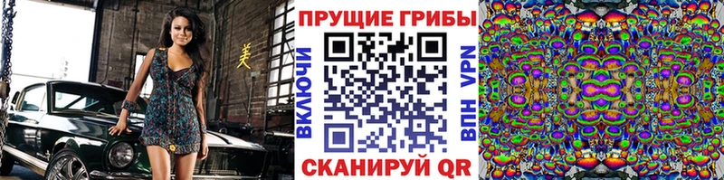 как найти   Ревда  Псилоцибиновые грибы ЛСД 