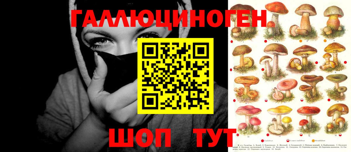 Галлюциногенные грибы GOLDEN TEACHER  наркошоп  Ревда  Вход с VPN 