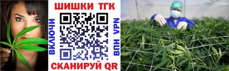 как найти закладки  Ревда  Конопля сатива 